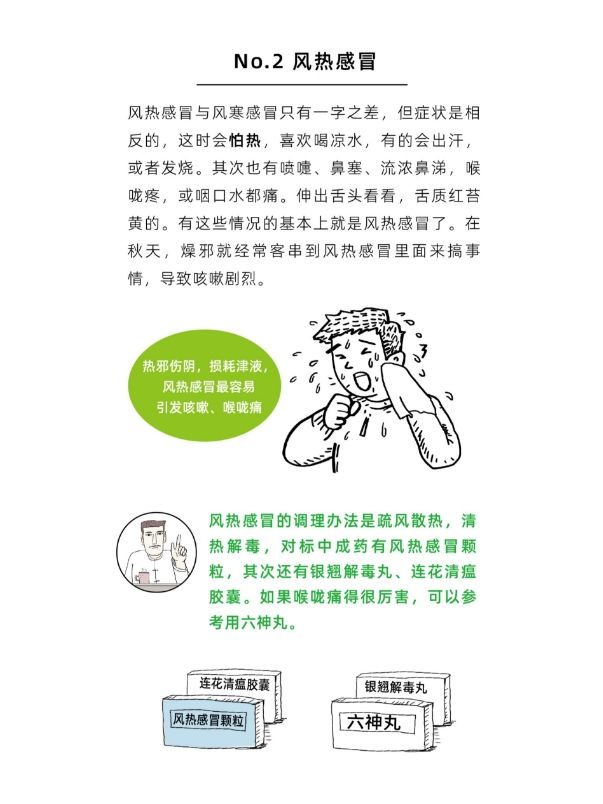 中醫(yī)預(yù)防感冒與流感的方法與策略