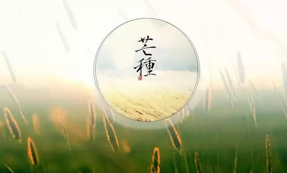 中醫(yī)五大養(yǎng)生法則，邁向健康的關(guān)鍵路徑