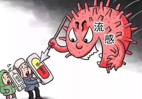 流感致命原因解析