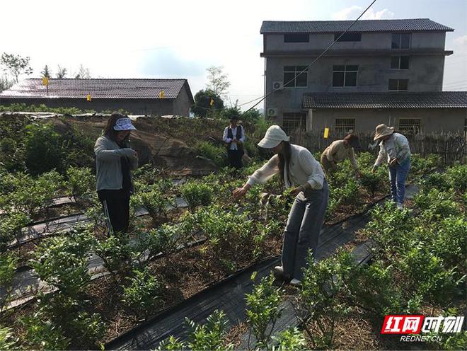 张家界永定区协合水库管理所开展闸门钢索维护，确保水库安全运行的必要措施