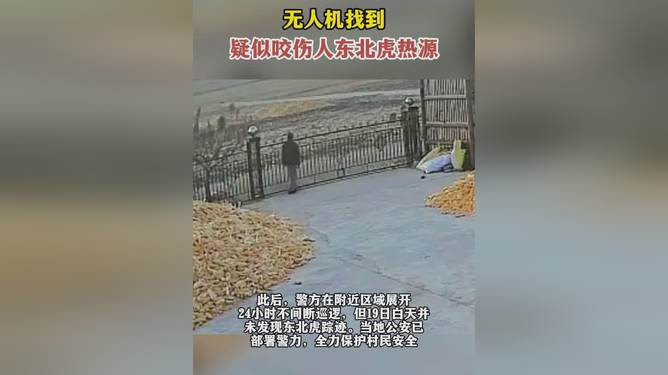 科技助力寻找东北虎踪迹，无人机发现疑似咬伤人虎热源