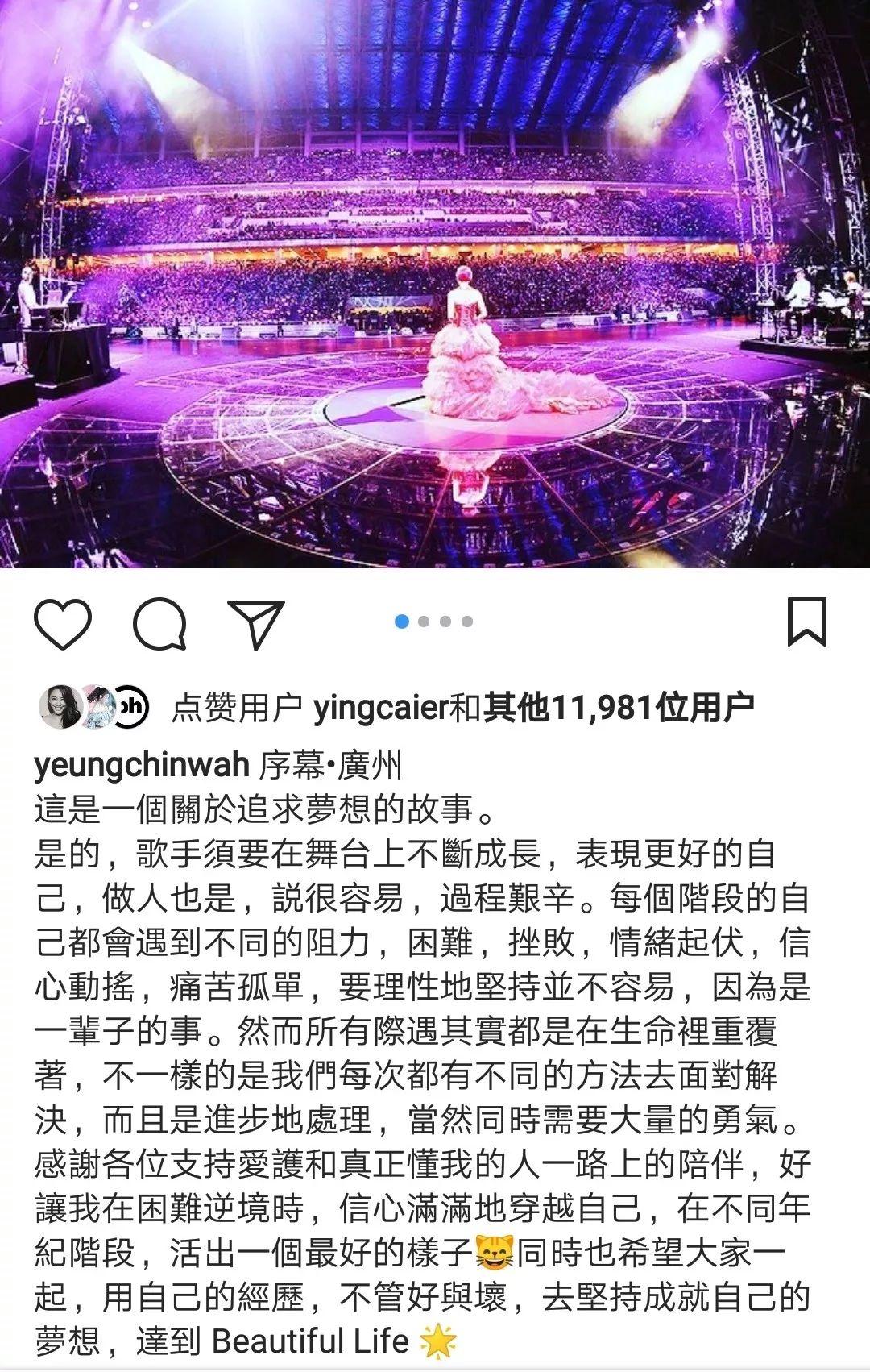 杨千嬅野孩子，真挚情感与青春呼唤的交响乐章