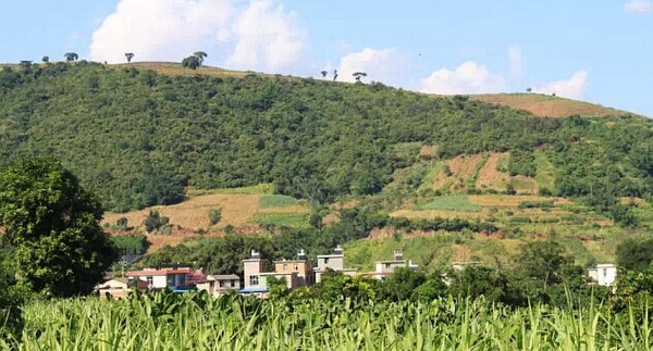 哀牢山，自然王国与文化瑰宝的神秘之旅简介