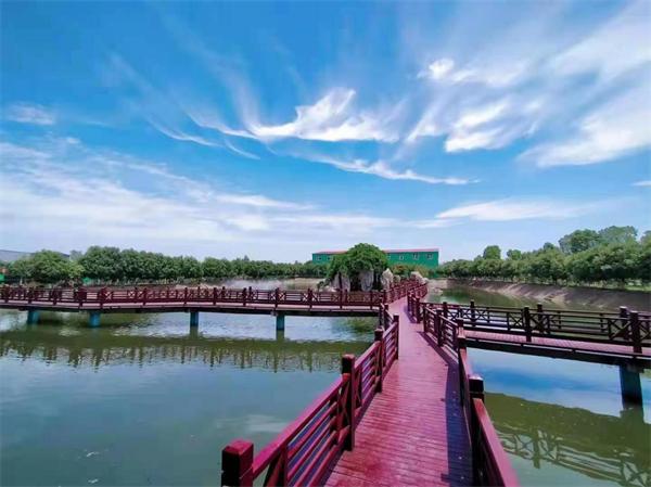 乡村民宿市场繁荣，旅游助力脱贫攻坚之道