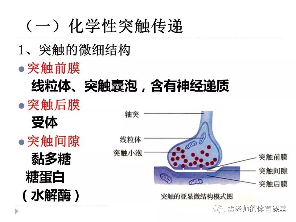 中医呼吸系统养生法，调理呼吸系统的健康之道