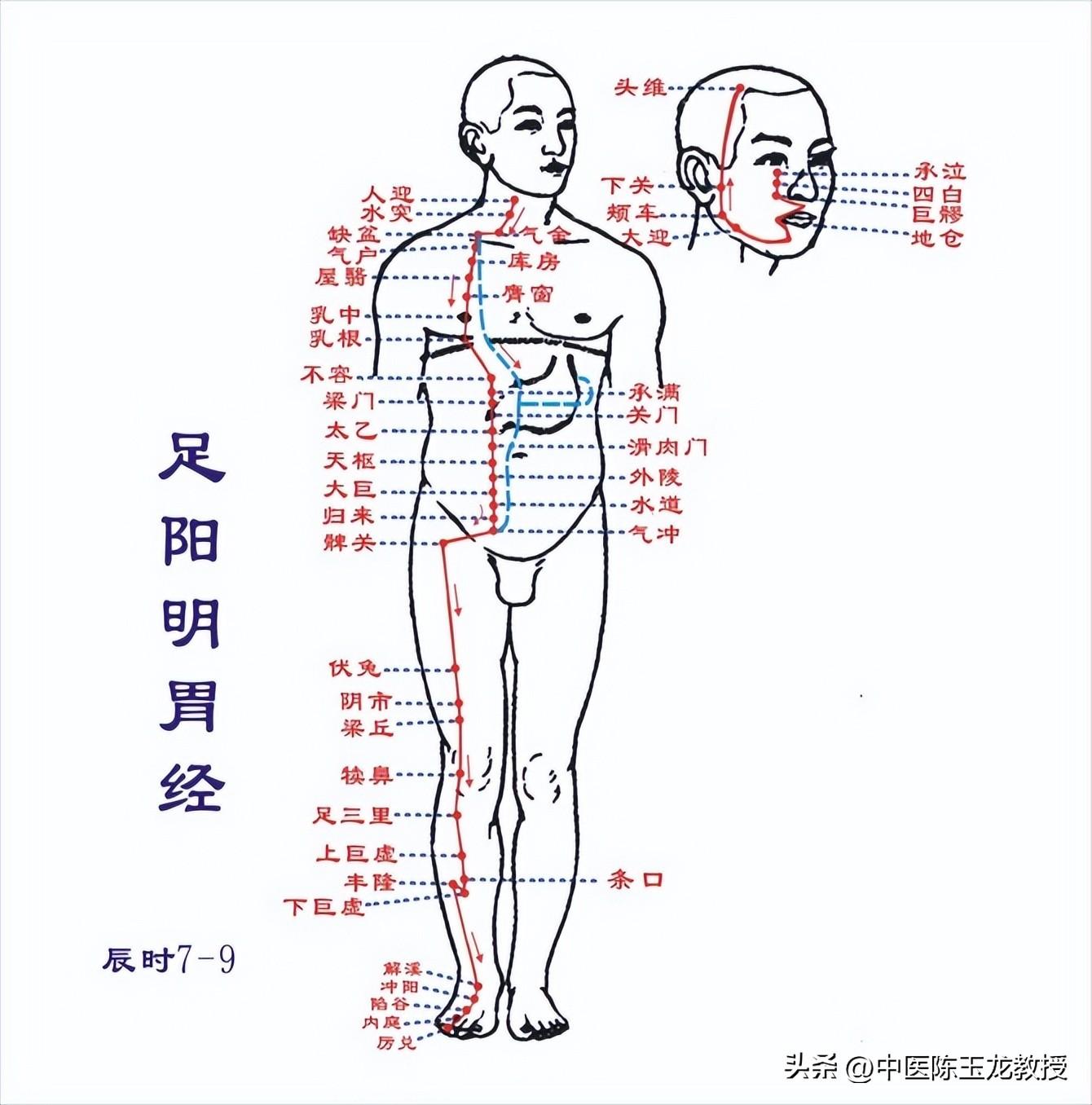 中医食疗调理胃酸过多方法详解