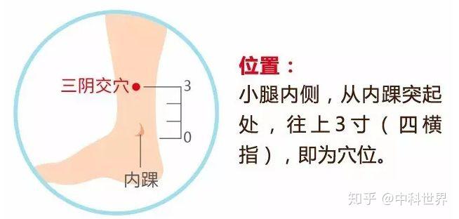 中医艾灸缓解背部疼痛的途径及机制探究