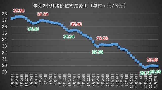 猪肉价格上涨背后的原因及其对中国市场的影响与最新动态探究