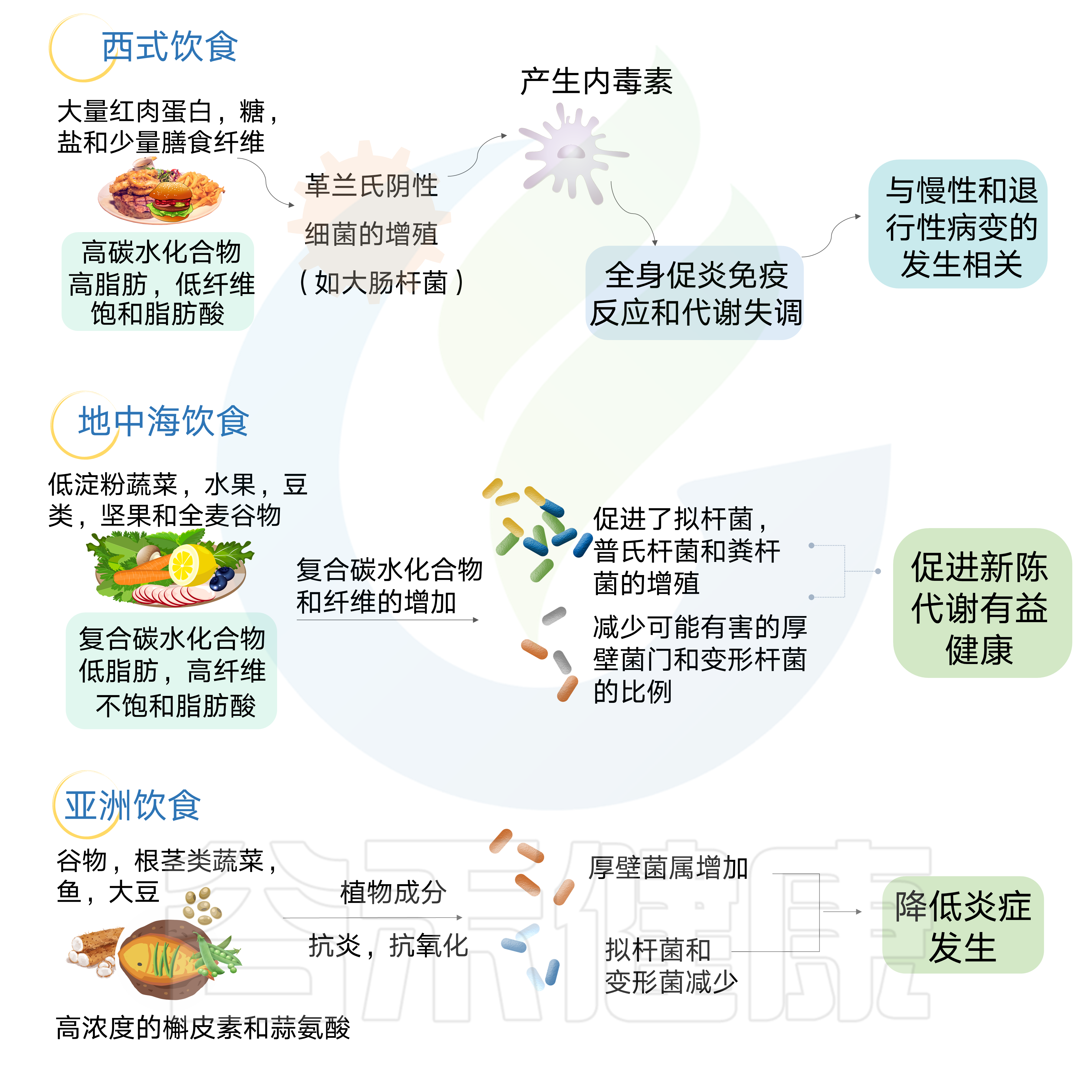 食疗食谱助力肠道有益菌群平衡增长与调节