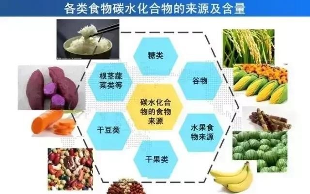 如何通过食物促进身体水合作用提升