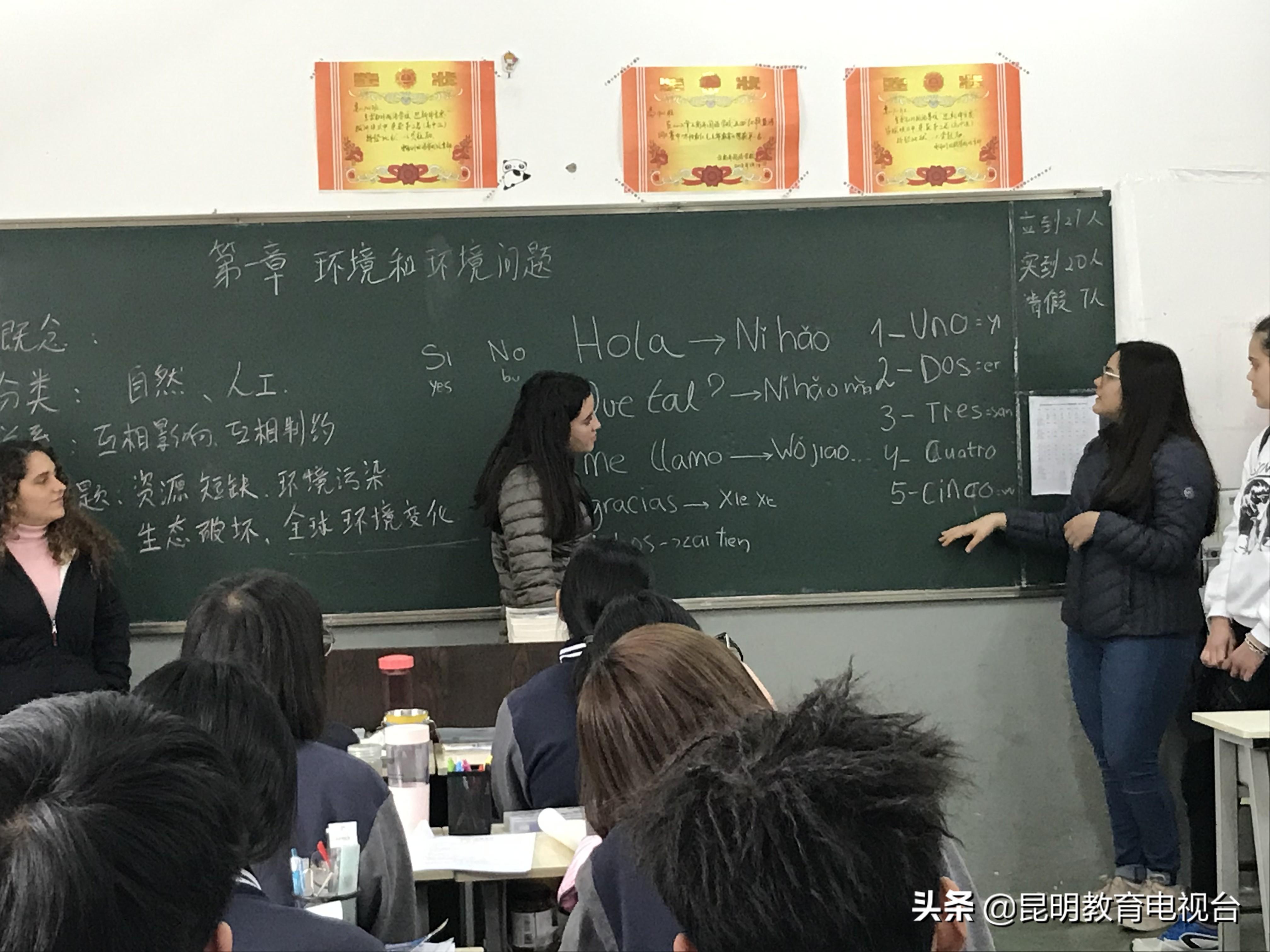 多元文化教育，提升学生解决问题能力的重要途径