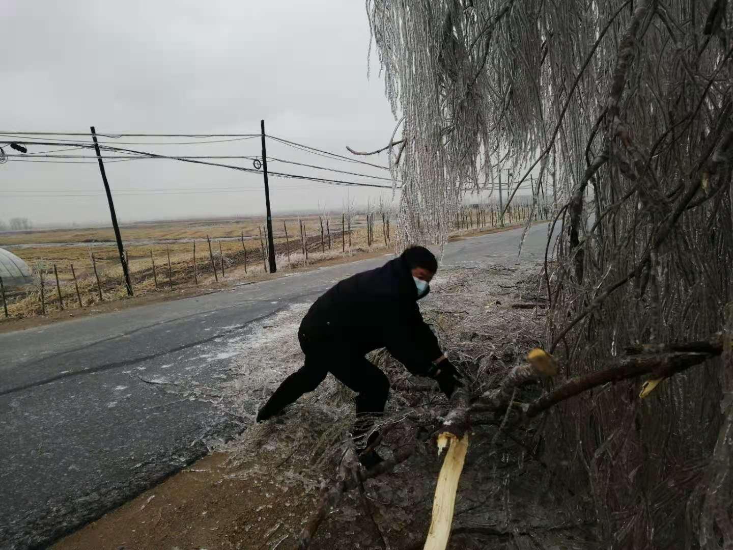 旅行应对恶劣天气的策略与措施