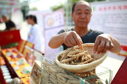 文登西洋参，舶来品变土特产，成功出圈之路