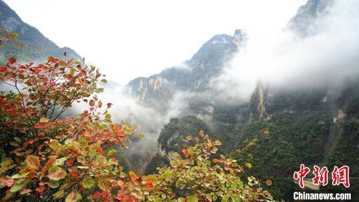 初冬巫山下庄村云雾缭绕美景如画