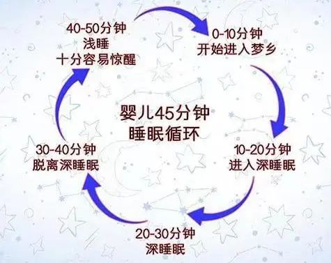 睡眠规律对早教效果的影响研究